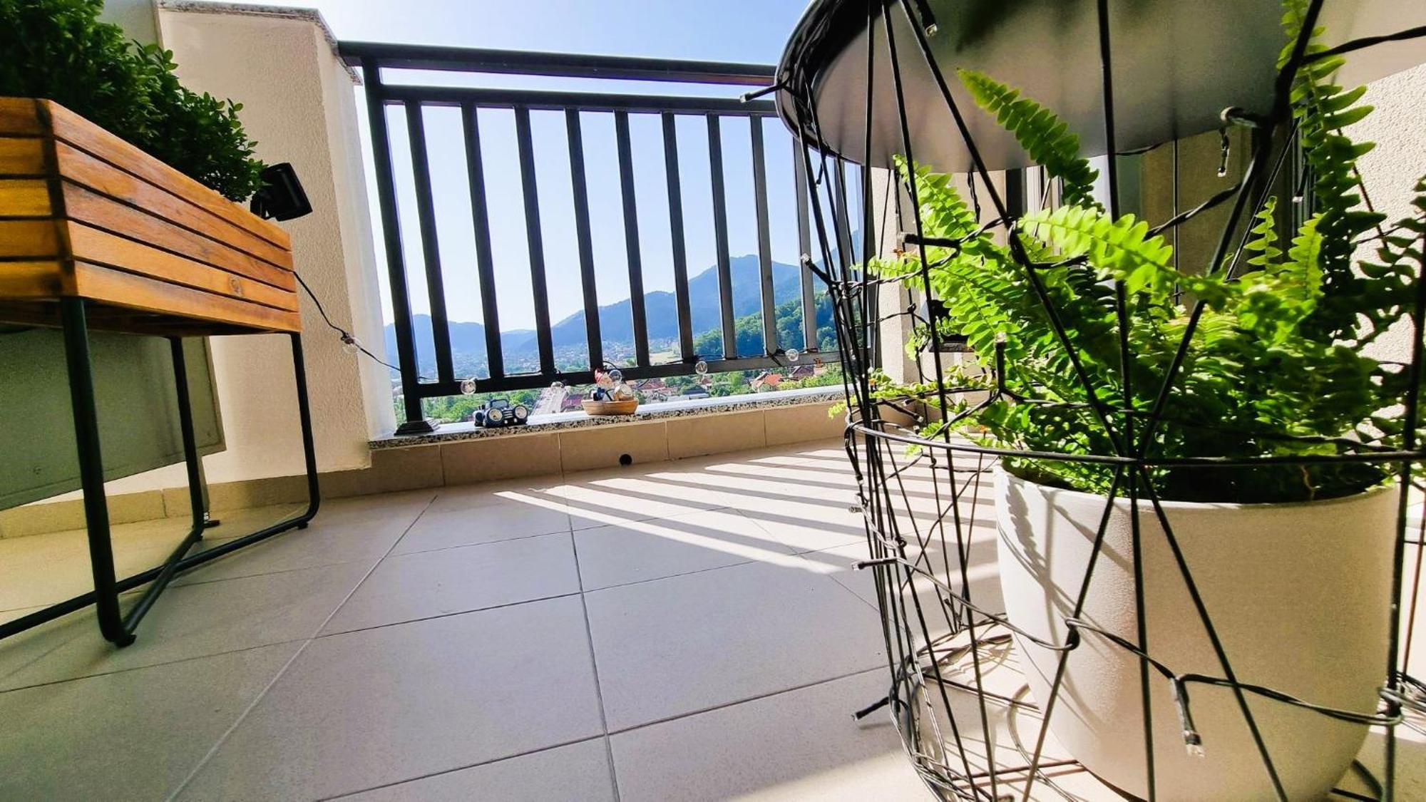 Mountain View Retreat Apartment - 브라쇼브 외부 사진