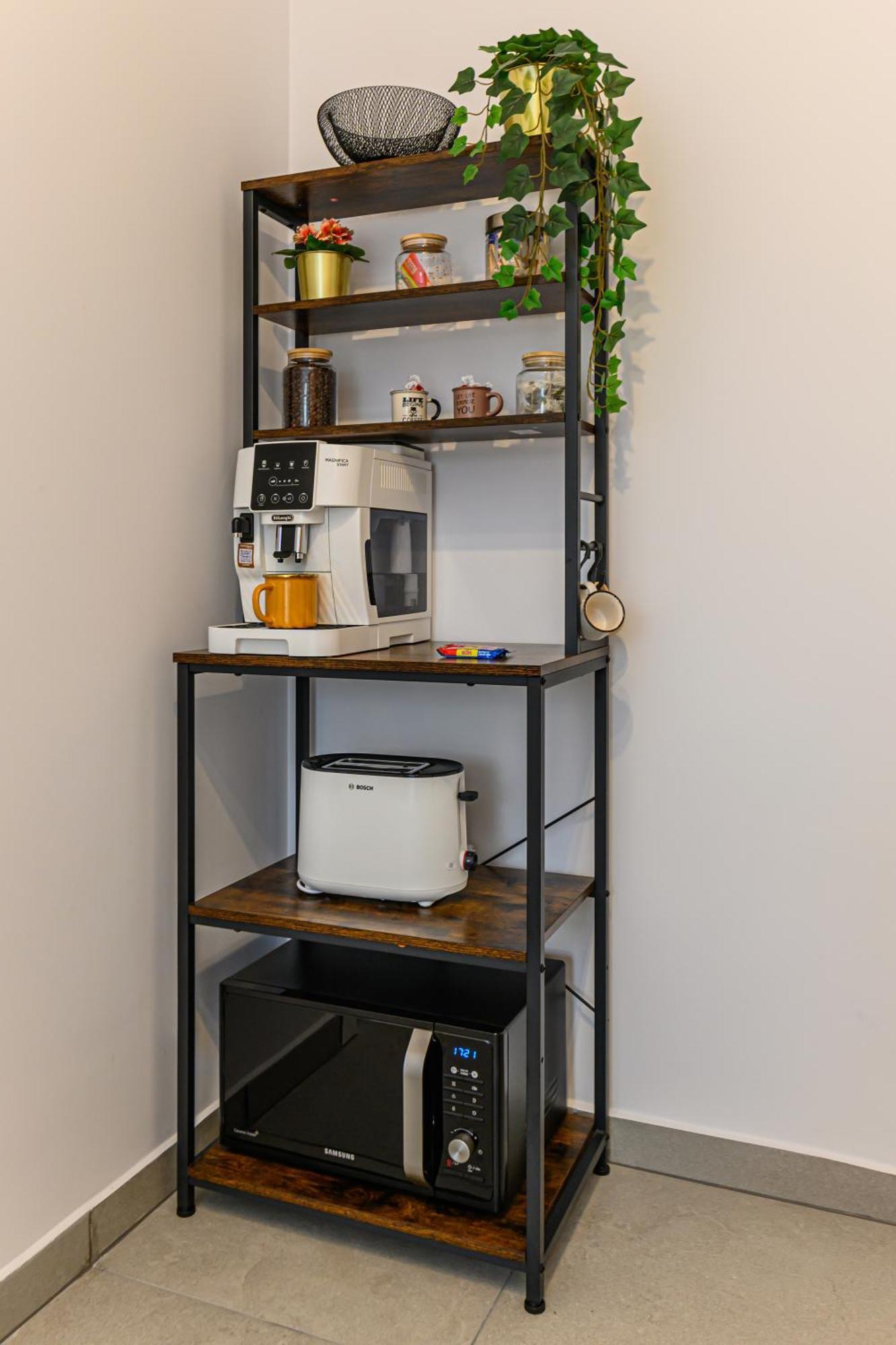 Mountain View Retreat Apartment - 브라쇼브 외부 사진